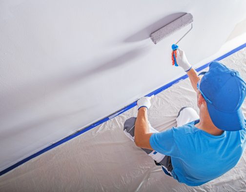 Remodeling and Painting
